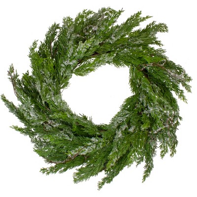 Northlight 24" Iced Cedar Artificial Christmas Wreath - Unlit