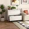 SUXXAN 2 Drawer Metal File Cabinet, with Standing Feet and Card Slot, 29.53" H X 34.5" L X 15.75" W, Assembly Required - 3 of 4