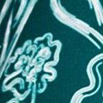 dark jade blooms