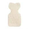 Love To Dream Baby Swaddle Up Transition Bag - Warm Cotton 2.5 TOG Sleeveless Wrap - Bees - 3 of 4