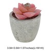 Unique Bargains Artificial Plants Mini Graptoveria in Pulp Plastic 2.36"x2.36"x3.15" 1 Pcs - 3 of 4