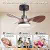 Duclsaty 24" Small Ceiling Fan with Light remote control ,brown Ceiling Fan, 6-Speeds Quiet Reversible DC motor for Bedroom,Kitchen - 3 of 4