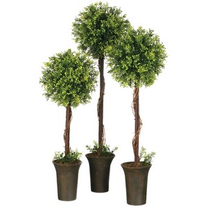 Sullivans Artificial Set of 3 Tealeaf Berry Topiary Tree 22"H, 26"H & 30"H Green - 1 of 4