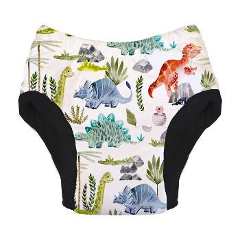  Disney Unisex Baby Princess Potty Pants Multipack and Toddler  Training Underwear, Printraining10pk, 2T US : Baby