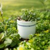 5.5" Edaline Vintage White Crackle & Blue Stripe Stoneware Planter Pot - 2 of 4