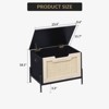 Acekool Rattan Storage Bench with Safety Hinges, Upholstered Entryway Shoe Bench and Storage Box, for Hallway Bedroom Living Room, Natural - 2 of 4