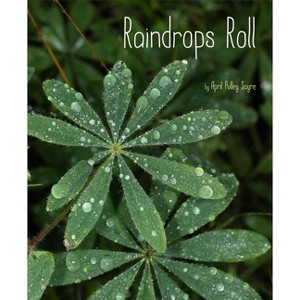 Raindrops Roll - (Weather Walks) by  April Pulley Sayre (Hardcover) - 1 of 1