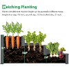 Planter Box, Raised Garden Beds Outdoor with 3 Growth Areas, Separator Elevated Flower Box, Fir Wood Vegetables Growing Planter for Backyard - 4 of 4