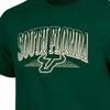 NCAA South Florida Bulls Men's Short Sleeve Core T-Shirt - 3 of 3