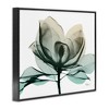 Stupell Industries Green X-Ray Flower, 16" x 20" - 3 of 4