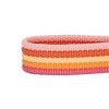 Blueberry Pet Stripe Adjustable Dog Collar - 3 of 4