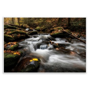 Stupell Industries Fallen Leaves on Stream Wall Plaque Art - 1 of 4