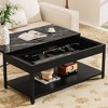 Dexmalle Rectangular double-layer coffee table with hidden storage compartment and fingerprint lock - 4 of 4