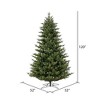Vickerman Welch Frasier Fir Artificial Christmas Tree Unlit - 3 of 4