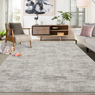 Acekool Modern Washable Area Rug, Soft Non Slip Minimalist Low Pile Carpet for Living Room, Bedroom, Dorm