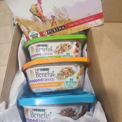 Target beneful best sale dog food