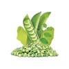 ReadyWise Simple Kitchen Wasabi Peas Freeze-Dried Vegetables - 9.6oz/6ct - image 4 of 4