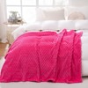 Aoibox Hot Pink Throw Blanket Fuzzy 3D Jacquard Decorative Flannel Fleece Super Soft Plush Cozy Blanket for Couch Sofa Chair Lightweight - 4 of 4