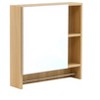 VYNXARIA Wall-Mounted Bathroom Mirror Cabinet with Shelves & Towel Rack. - 4 of 4
