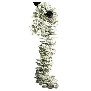 Rubies Adult Money Boa - 1 of 1