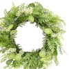 Melrose Mixed Fern Foliage Wreath 27.5"D - 2 of 2
