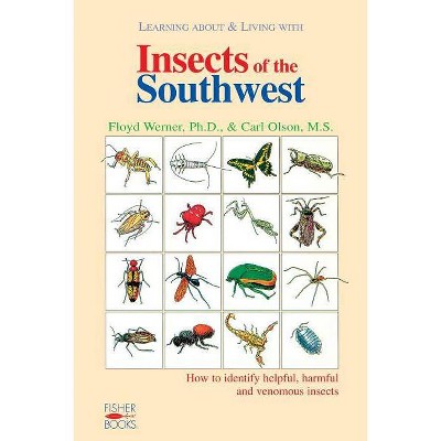 Insects of the Southwest - by  Floyd Werner & Carl Olson (Paperback)