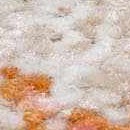 charcoal, mustard, camel, dusty pink, light gray, off white, sky blue, brick red