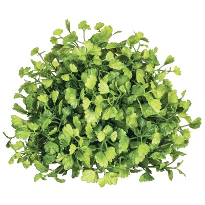 Sullivans Maiden Hair Fern 1/2 Orb Decorative Filler 5"H Green
