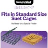 Hungrybird Energy+ No-Melt, High-Protein Suet Cake with Berry Filling for Outside Wild Bird Feeders - 4 of 4