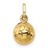 Black Bow Jewelry 14k Yellow Gold Polished 3D Soccer Ball Pendant, 8mm - 3 of 4