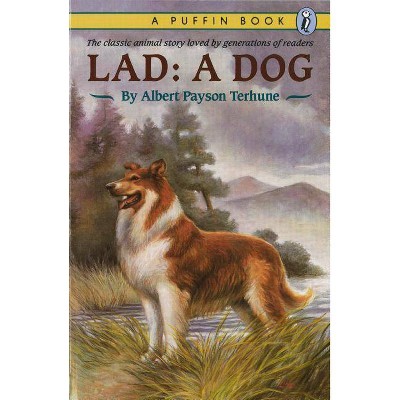 Lad - by  Albert Payson Terhune (Paperback)