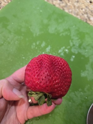 Guest review image 1 of 5, zoom in