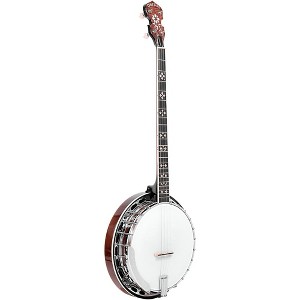 Gold Tone PS-250: Plectrum Special Banjo Vintage Brown - 1 of 4