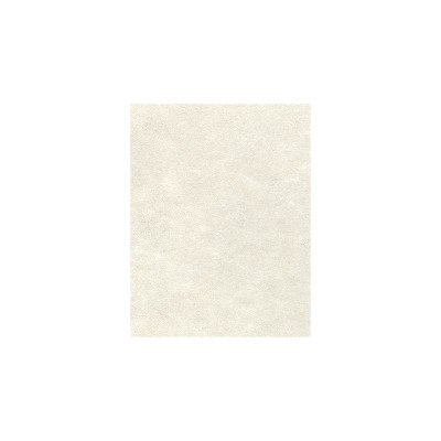Lux Linen 100 lb. Cardstock Paper 8.5 x 11 Natural Linen 500 Sheets/Pack (81211-C-59-500)