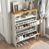 RISOKEYS Shoe Storage Cabinet with 2 Flip Drawers - Capacity for 20 Pairs, Adjustable Shelves & Modern Stylish Design for Entryway,Hallway,Apartment. - 2 of 4