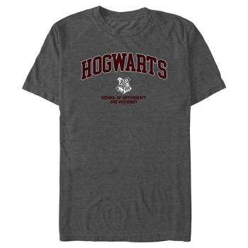 Men\'s Harry Potter Hogwarts 4 : House Target Hoodie Crest Over Pull