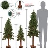 Northlight 3ct Prelit Artificial Christmas Trees Woodland Alpine 5' - Clear Lights - 3 of 4