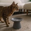Dexypaws: Flat Top Ceramic Cat Bowl, Black Fish Print, 7.5oz, Pet Feeding Dish - 4 of 4