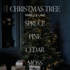 Sweet Water Decor Christmas Tree Amber Reed Diffuser -3.5oz - 4 of 4
