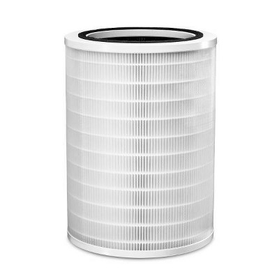 Clorox 320' Replacement Filter 12010: Large Room Carbon Filter for Air Purifiers, Captures Allergens & Viruses