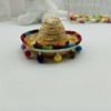 Paaaawaters Adorable Pet Mexican Hat: Let Your Furry Friend Embrace Mexican Style - 2 of 4