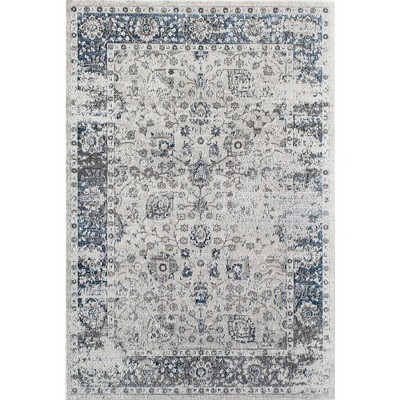 Rugs America Preston Transitional Vintage Area Rug