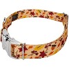 Country Brook Petz Premium Dog Collar - Awesome Autumn Collection - 2 of 4