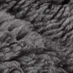 charcoal