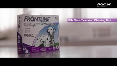 Tesco frontline hotsell plus for dogs