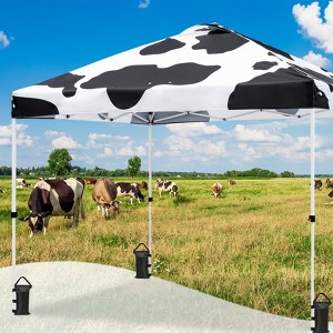 EAGLE PEAK 10x10 Pop Up Canopy Instant Tent w/ 4 Weight Bags - 1 of 4