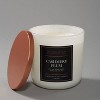 12oz Jar Candle Cashmere Plum - The Collection By Chesapeake Bay Candle - image 3 of 4