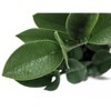 Monarch Specialties Artificial Plant 20 inch Tall Zz Indoor Faux Fake Table Greenery Potted Real Touch Decorative Green Leaves Grey Cement Pot - 4 of 4