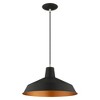Livex Lighting Metal Shade 1 - Light Chandelier in  Black - 2 of 4