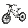 Voltaic Youth Electric Dirt Bike 18'' Flying Fox Gray - 2 of 4